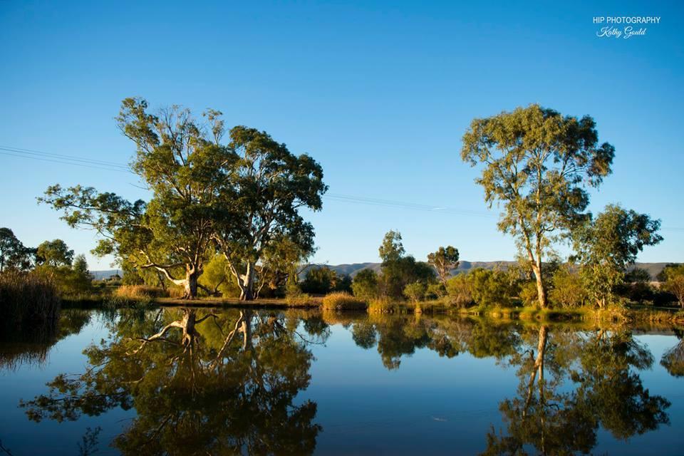 Still Earth Port Pirie Exterior foto